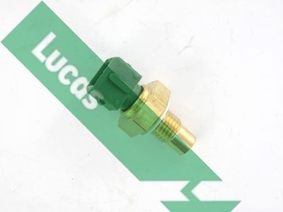 Sonde, température du liquide de refroidissement