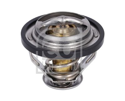 Thermostat d'eau