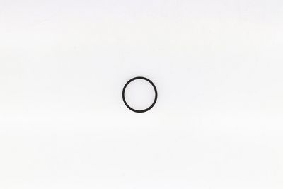 Joint d'étanchéité, thermostat