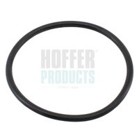 HOFFER Joint, thermostat