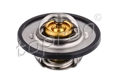 Thermostat d'eau