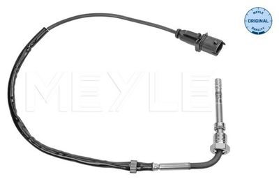 Capteur, température des gaz