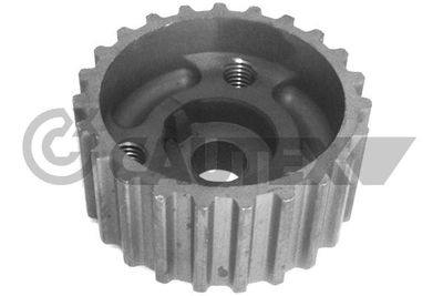 Roue dentée, arbre de commande de distributeur