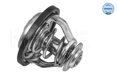 Thermostat d'eau