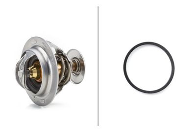 Thermostat d'eau