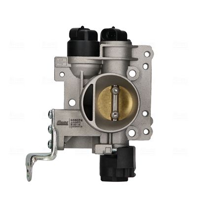 Corps papillon