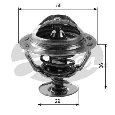 Thermostat d'eau