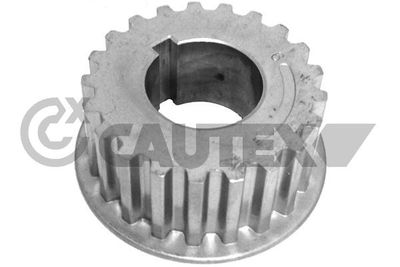Roue dentée, arbre de commande de distributeur