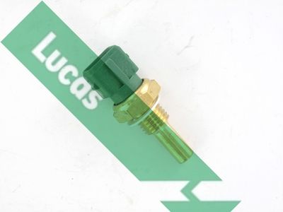 Sonde de température, liquide de refroidissement