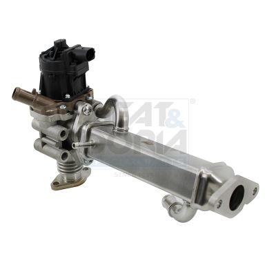 Module-EGR