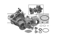 BBR Automotive Pompe à eau, refroidissement du mot