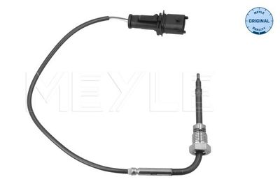 Capteur, température des gaz