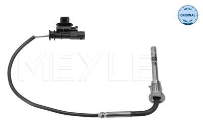 Capteur, température des gaz