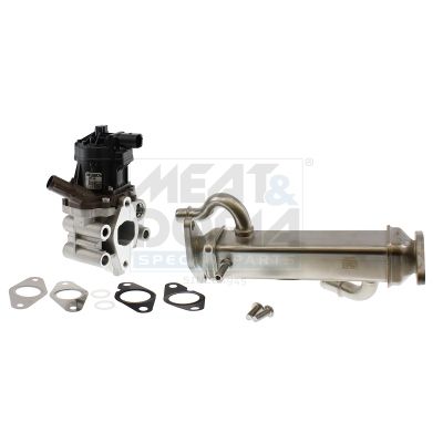 Module-EGR