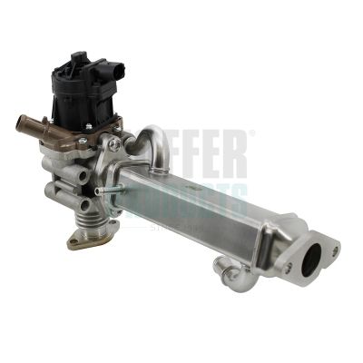 Module-EGR